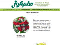 Livraison de fleurs  domicile, bouquets de fleurs sur Josepha 